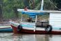 Amazonas06 - 048